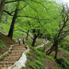 گیلان