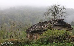 آژانس بهمنش پرواز - میرداماد