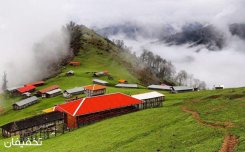 آژانس مسافران گرامی پارس - پونک