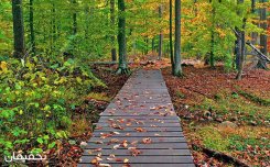 آژانس پرشین سیر ایرانیان - سهروردی