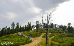 آژانس مسافرتی آبی گشت - ظفر