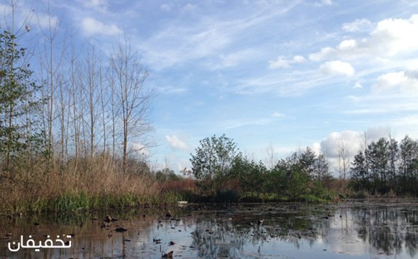 هتل بهار رودسر هتل بهار رودسر