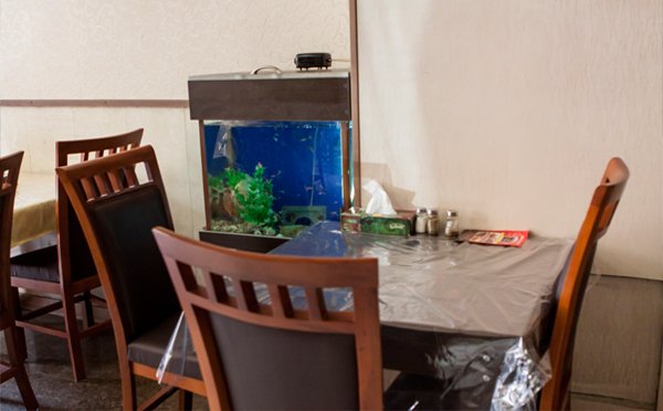 44 درصد تخفیف از رستوران شاندیز-7 44 درصد تخفیف از رستوران شاندیز-7