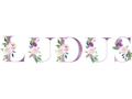 ludusgallery
