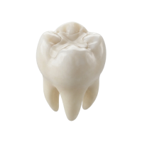 dental