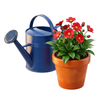 flowers-and-plants