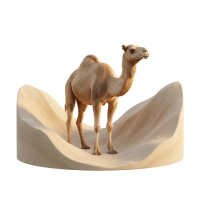 desert