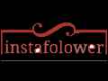 insafollower