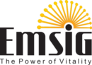emsig