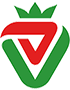 7mive
